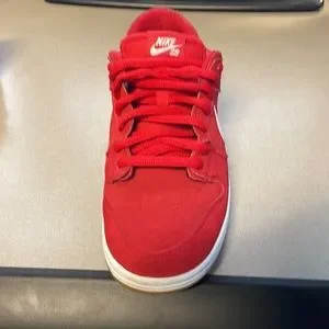 Nike | Shoes | 25 Nike Dunk Low Pro Sb Ishod Wair In  display picture 2